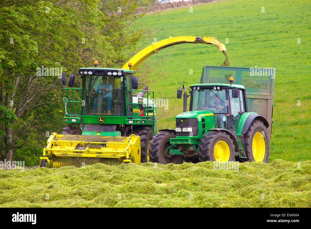 John Deere 7450 Foraggere semoventi e Bailey meccanica del rimorchio di insilato. Foto Stock