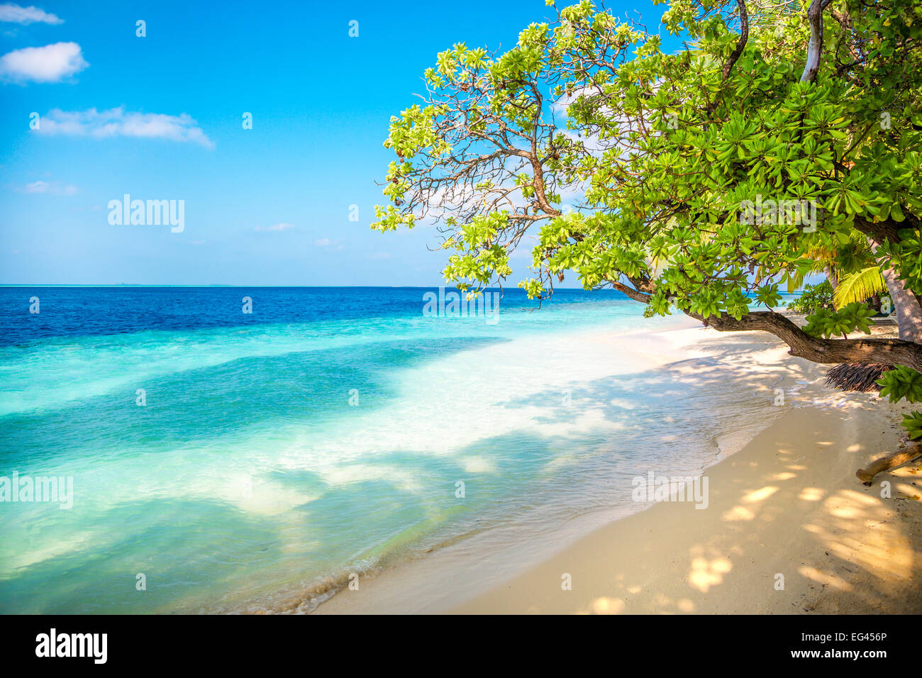 Spiaggia di sabbia delle Maldive in una giornata di sole Foto Stock