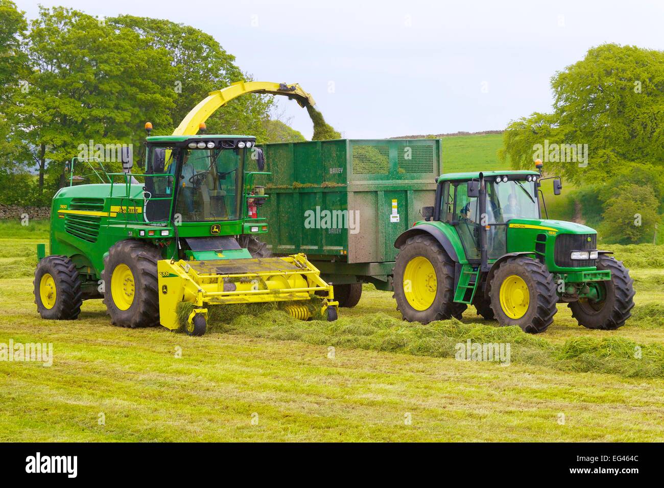 John Deere 7450 Foraggere semoventi e Bailey meccanica del rimorchio di insilato. Foto Stock