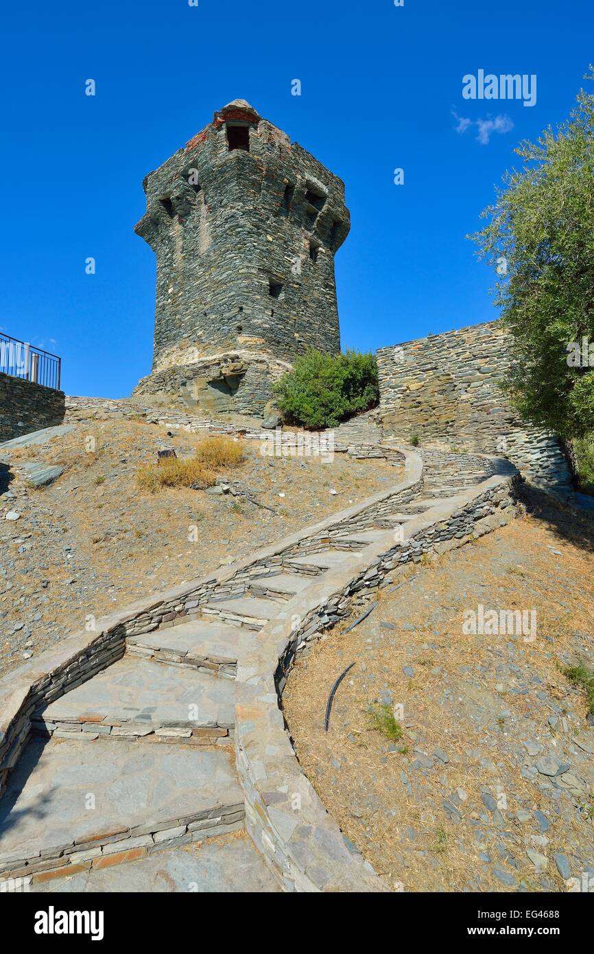 Tour de Nonza Torre pisana, sulla costa occidentale di Cap Corse, Nonza, Haute-Corse, Corsica, Francia Foto Stock