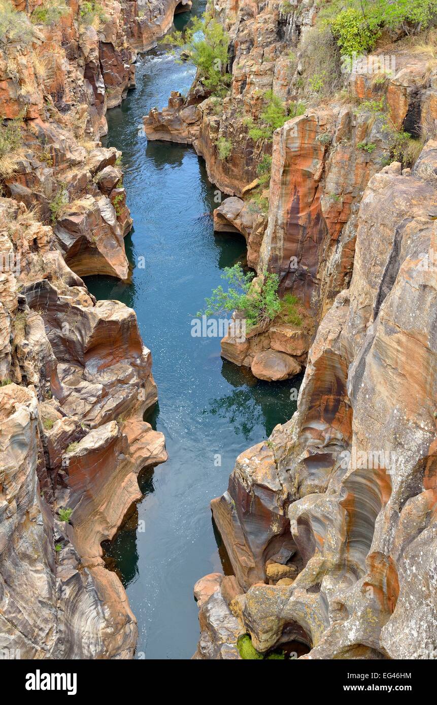 Bourke's Luck buche, canali e buche, nella roccia dolomitica, Blyde River Canyon Riserva Naturale, Mpumalanga Provincia Foto Stock