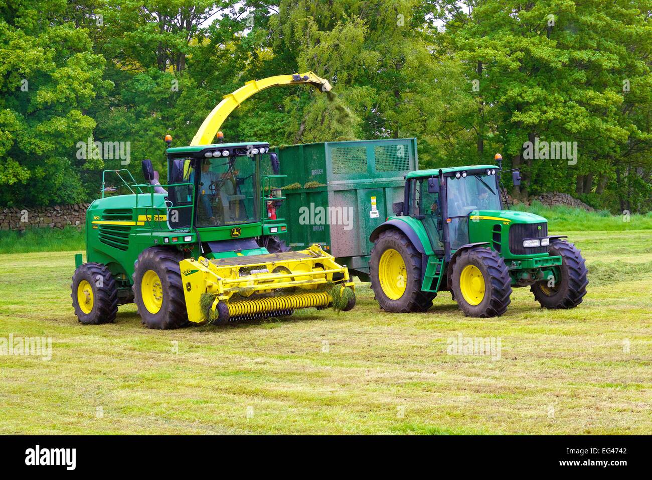 John Deere 7450 Foraggere semoventi e Bailey meccanica del rimorchio di insilato. Foto Stock