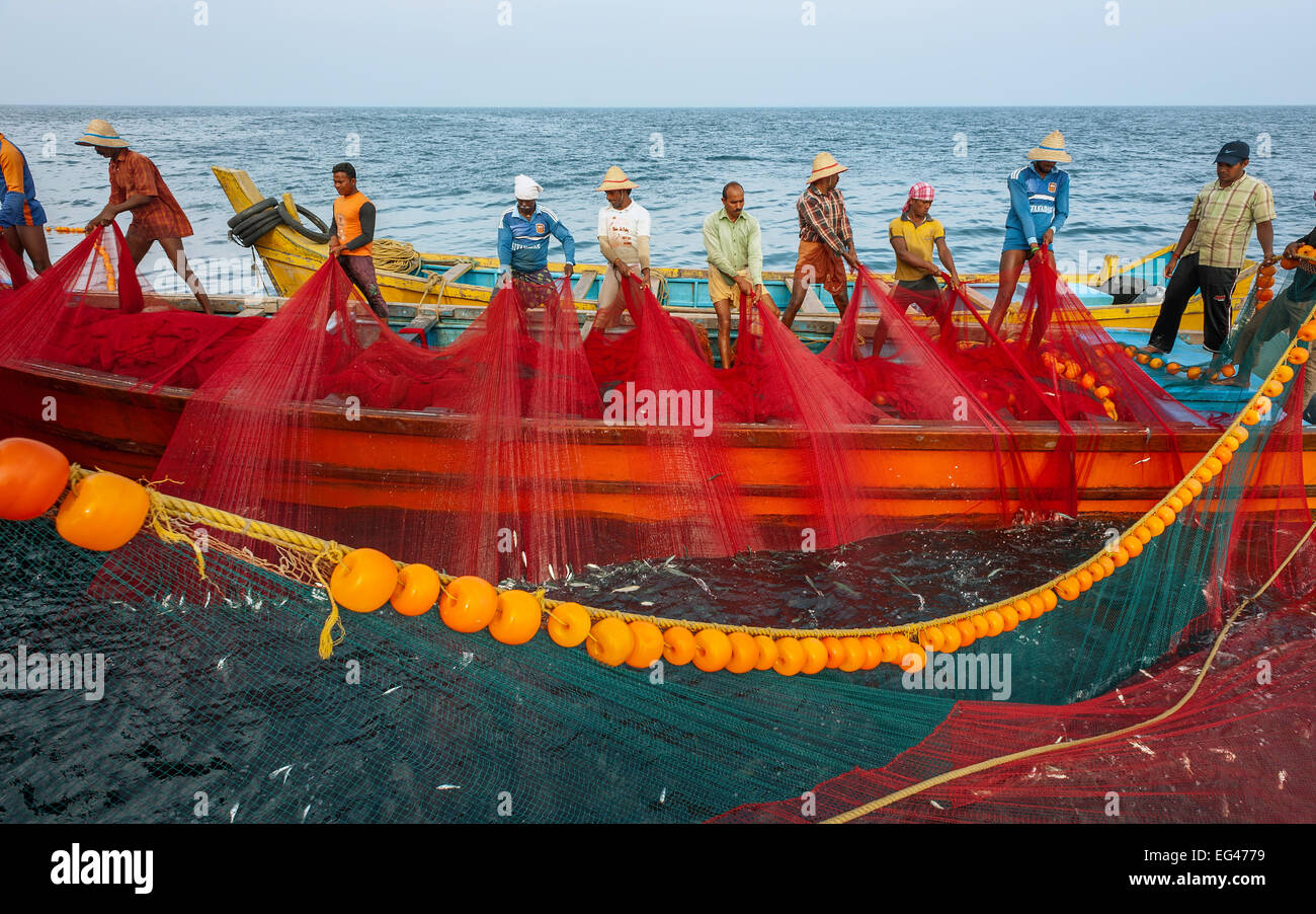 Tirare i pescatori in una grande rete di sardine all'alba in un mare profondo viaggio di pesca in mare Arabico, Costa di Malabar, Kerala, India. Foto Stock