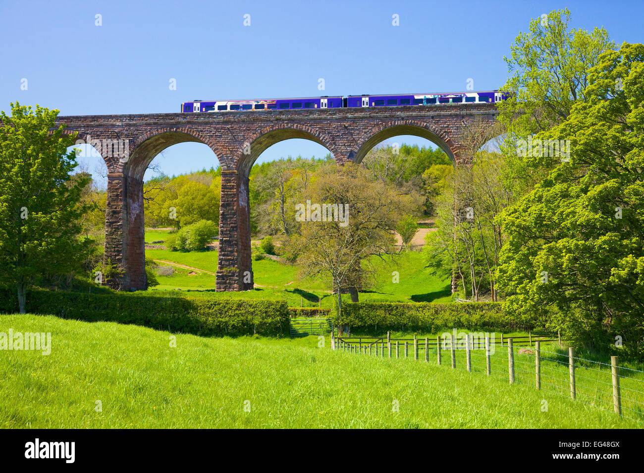 Rampa settentrionale Sprinter treno che passa sopra la vasca di tintura di secco viadotto nei pressi di Armathwaite arrivino a Carlisle linea ferroviaria, Eden Valley, Cumbri Foto Stock