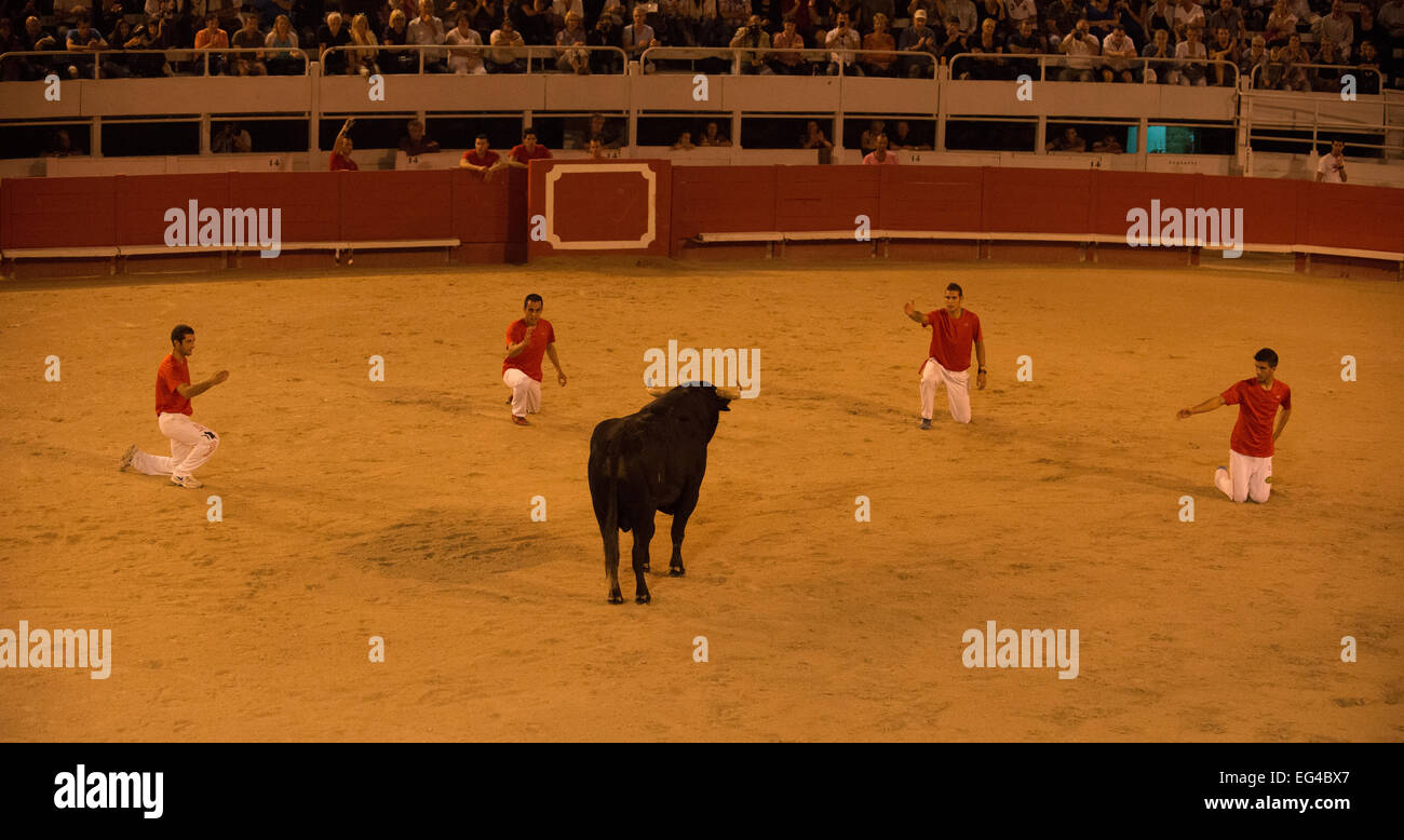 Gruppo toreri in comunità Tauromachia Campionato 2012 areni d'Arles Camargue Francia, settembre 2012. Foto Stock