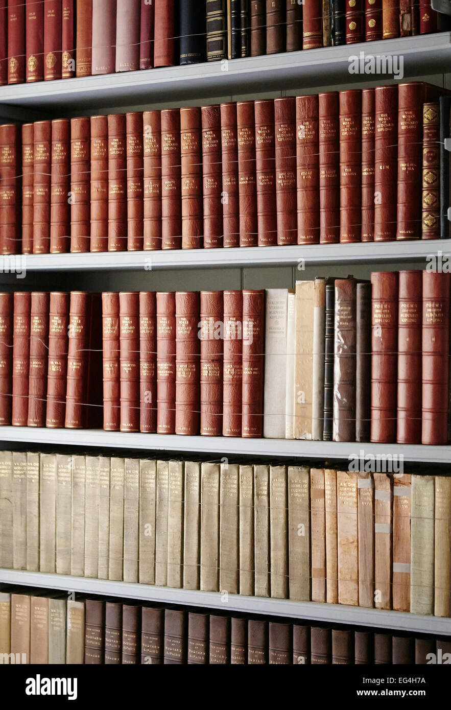 Scaffale pieno di libri antichi. Foto Stock