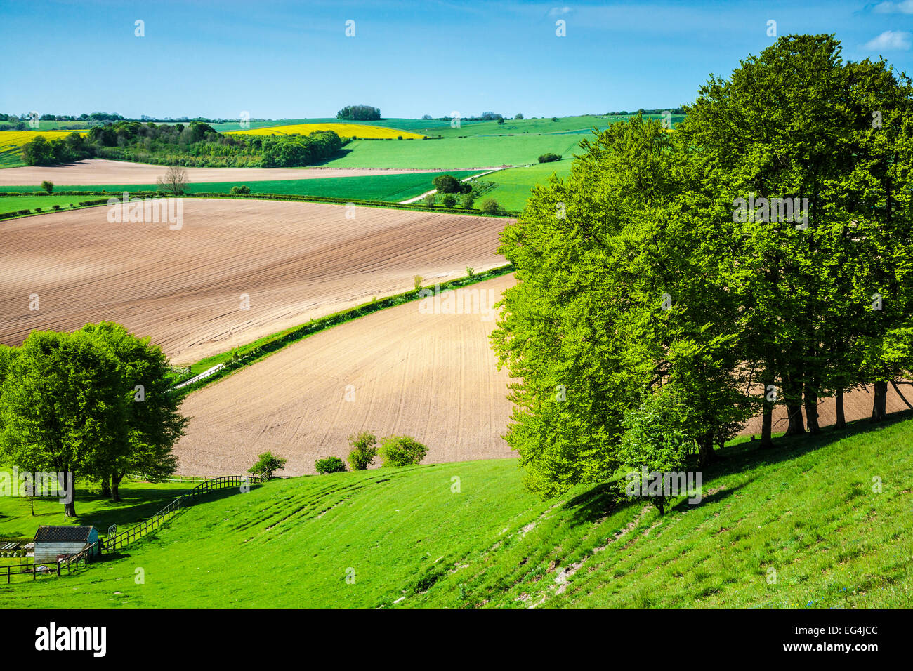 Vista su terreni agricoli e di campagna di laminazione nel Wiltshire. Foto Stock