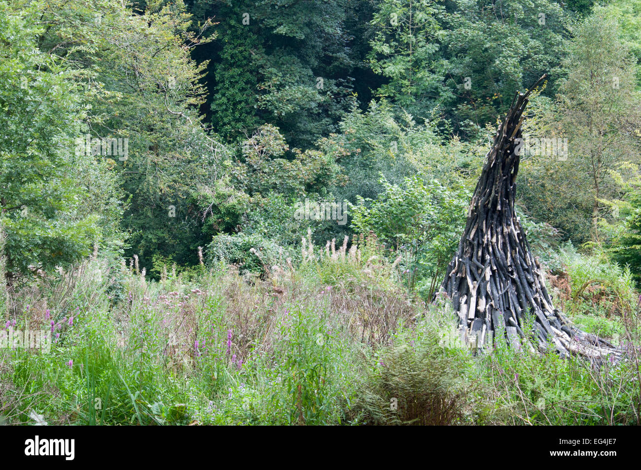 Arte in legno installazione in Lost Gardens of Heligan, Cornwall, Inghilterra Foto Stock