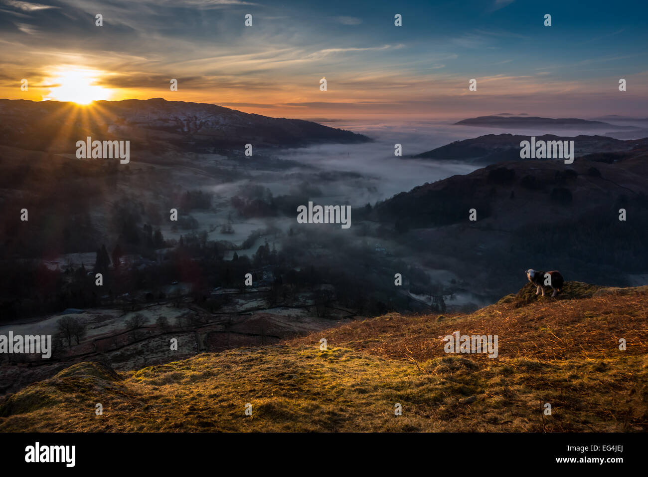 Bella drammatica vista rurale di misty Ambleside, sopra la foschia su Fairfield horseshoe all'alba, sunrise nel Lake District inglese, England, Regno Unito Foto Stock