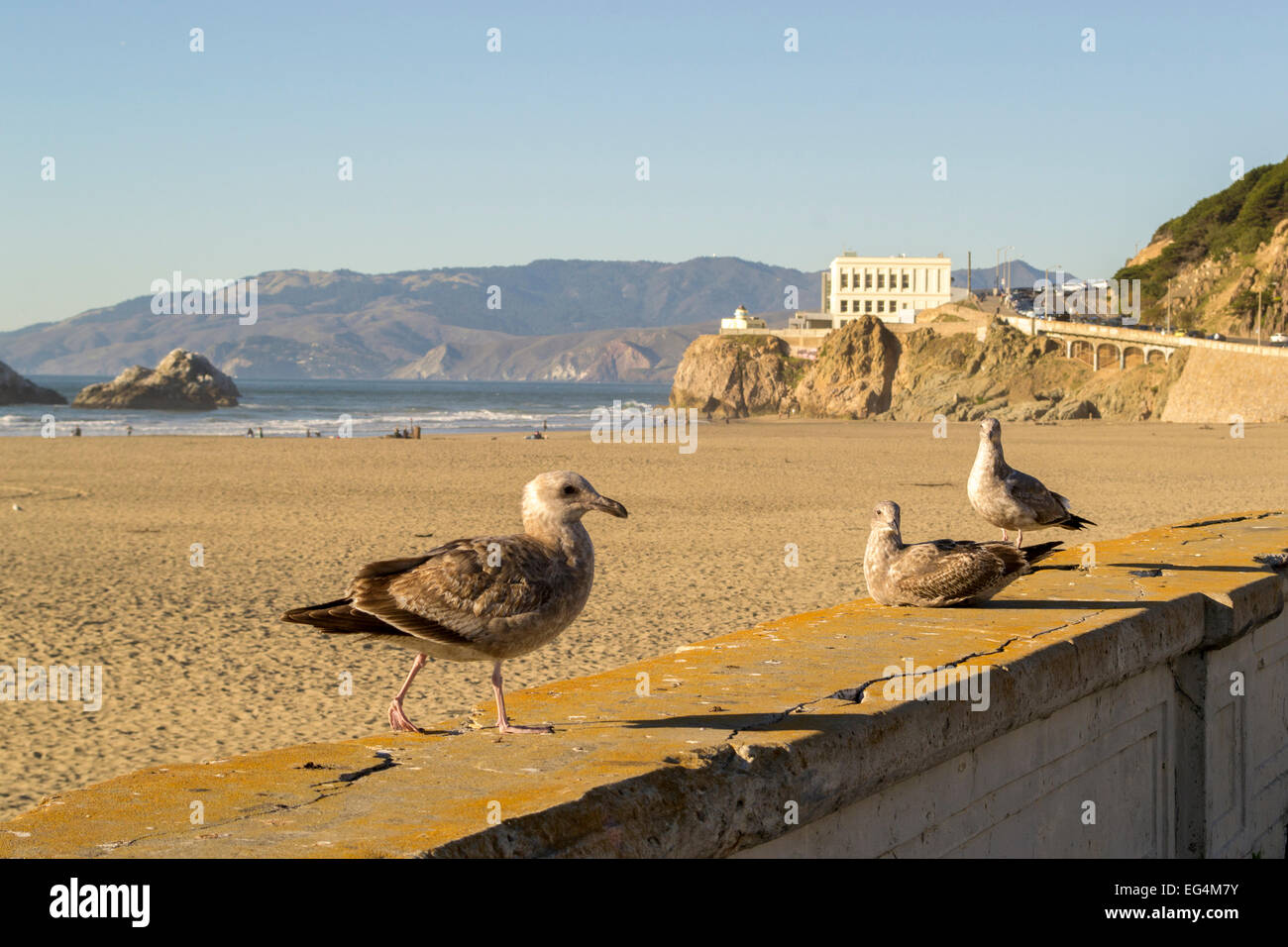 Ocean Beach, San Francisco Foto Stock