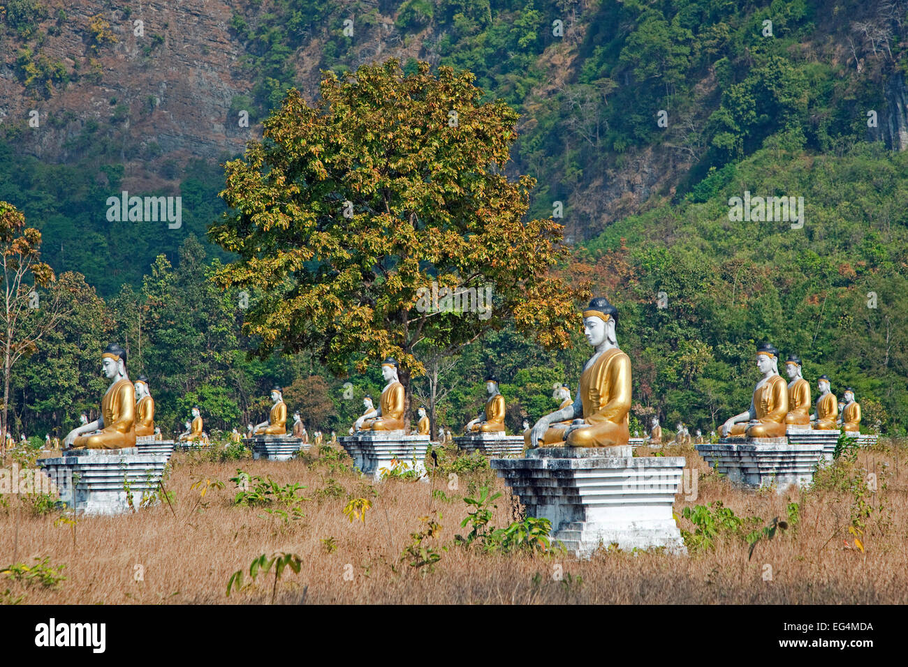 Giardino con statue di Buddha nei pressi di Hpa-an, Kayin Membro / Karen Stato, Myanmar / Birmania Foto Stock