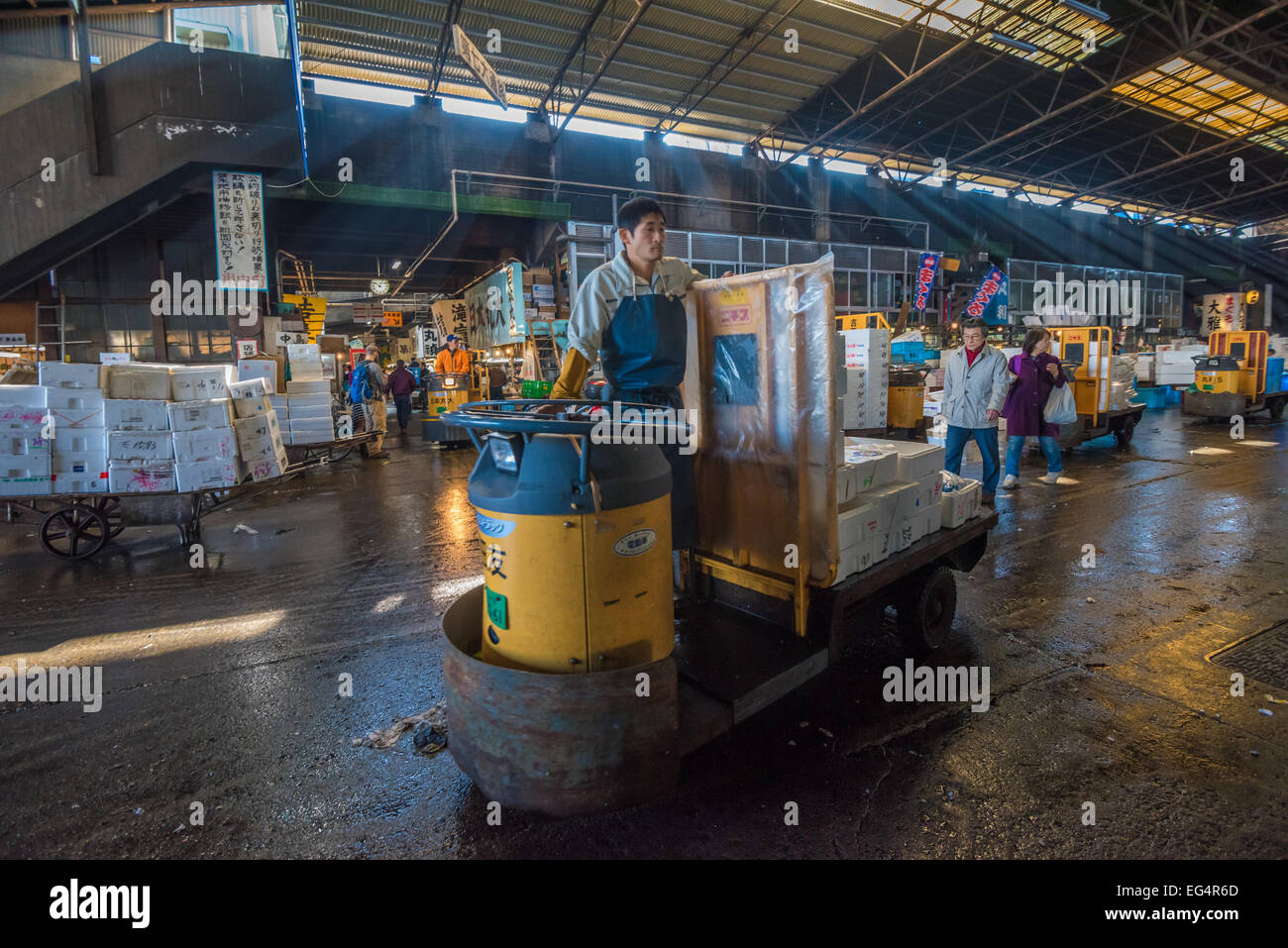 TOKYO, Giappone - Novembre, 22, 2014: un uomo alla guida di taretto, motorizzato carrello di carico, a Tsukiji, il più grande pesce e frutti di mare mercato Foto Stock