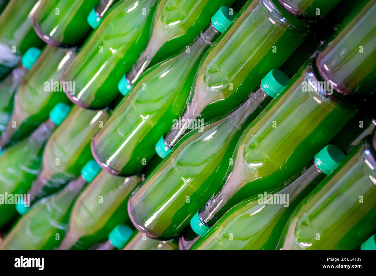 Righe diagonali di vetro verde per bottiglie in impianto di imbottigliamento Foto Stock