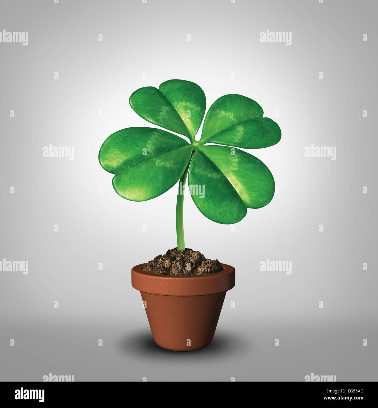 Fai crescere la tua fortuna come quattro leaf clover pianta in un vaso di fiori come un simbolo per il successo e la prosperità come un verde fascino fortunato icona della buona sorte e la fortuna di opportunità e di crescita sana. Foto Stock