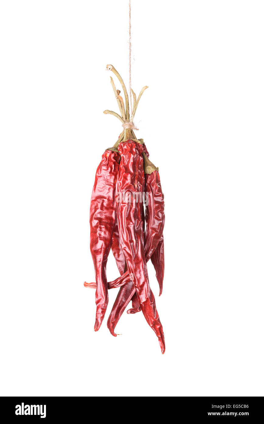 Impiccati a secco e sear red hot chili peppers isolati su sfondo bianco Foto Stock