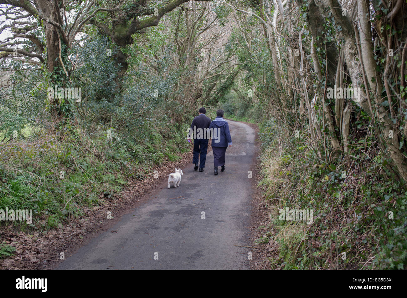 Una mezza età giovane a piedi lungo una strada di campagna in Cornwall, Regno Unito Foto Stock