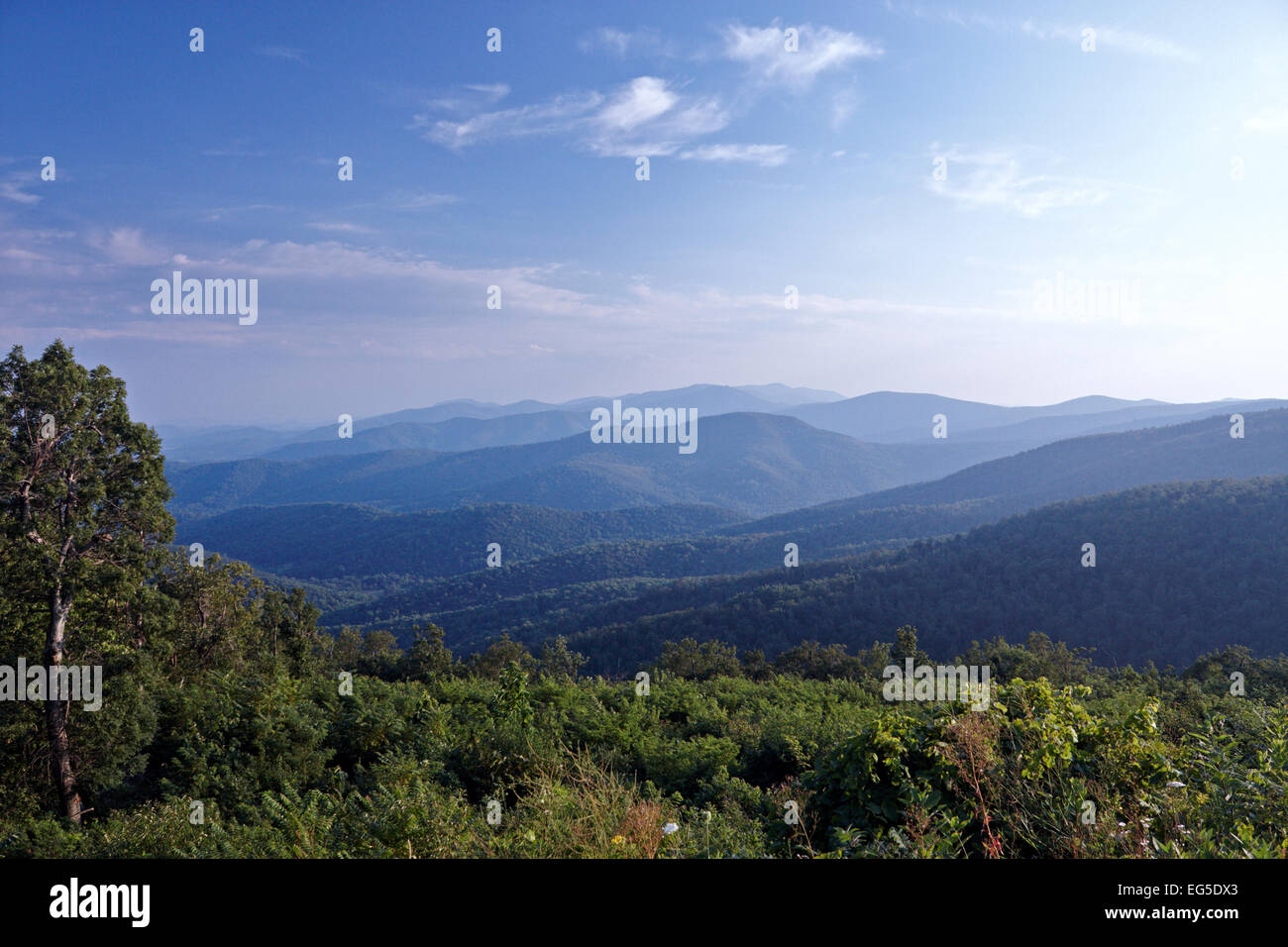 Blue Ridge Mountains, Parco Nazionale di Shenandoah, Virginia, Stati Uniti d'America Foto Stock