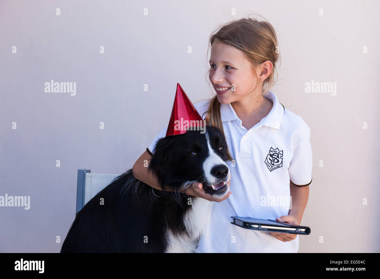 Ollie il Border Collie festeggia il suo primo compleanno con una ragazza giovane membro della sua nuova famiglia home. Sydney, Australia. Foto Stock