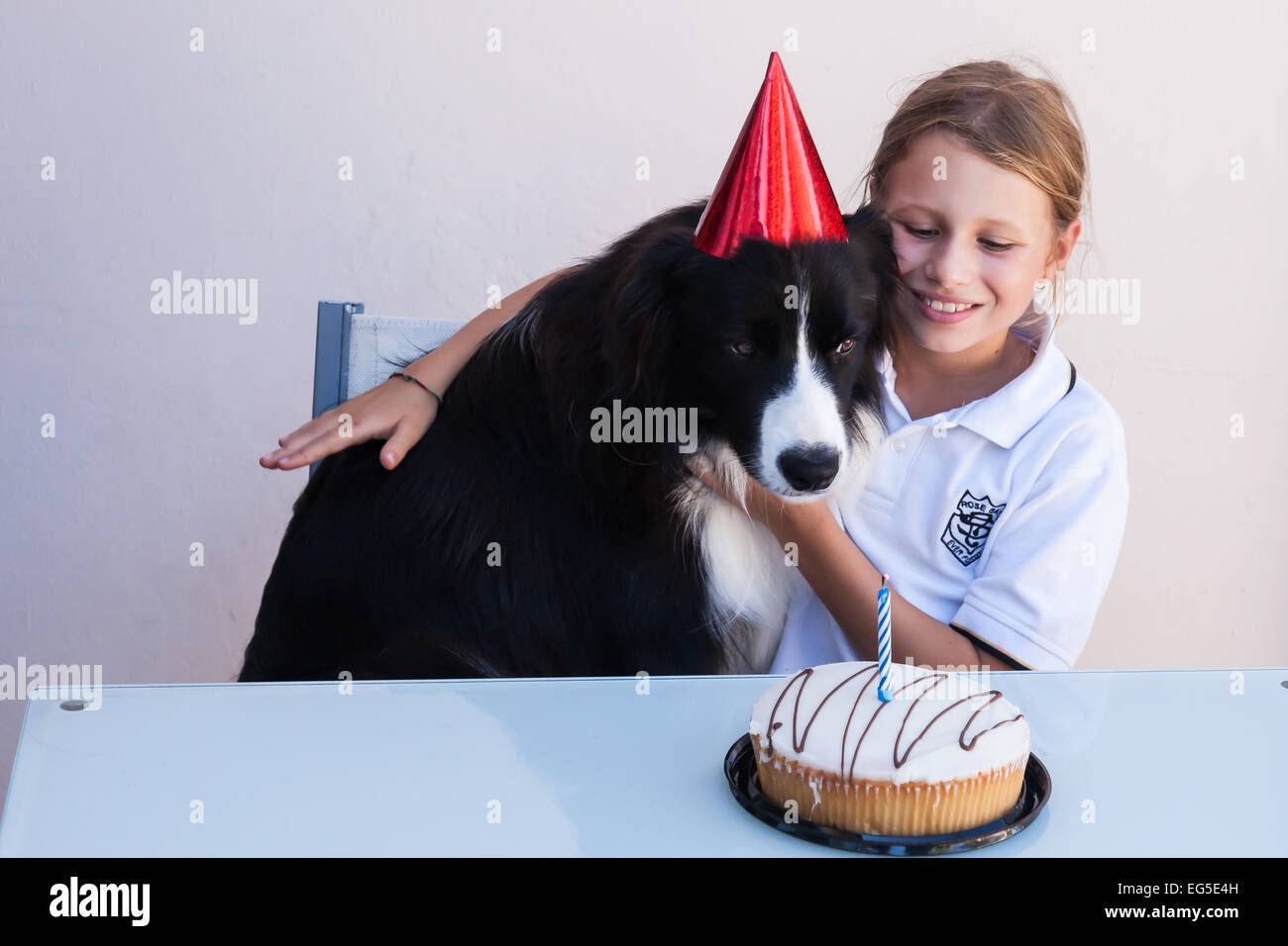 Ollie il Border Collie festeggia il suo primo compleanno con una ragazza giovane membro della sua nuova famiglia home. Foto Stock