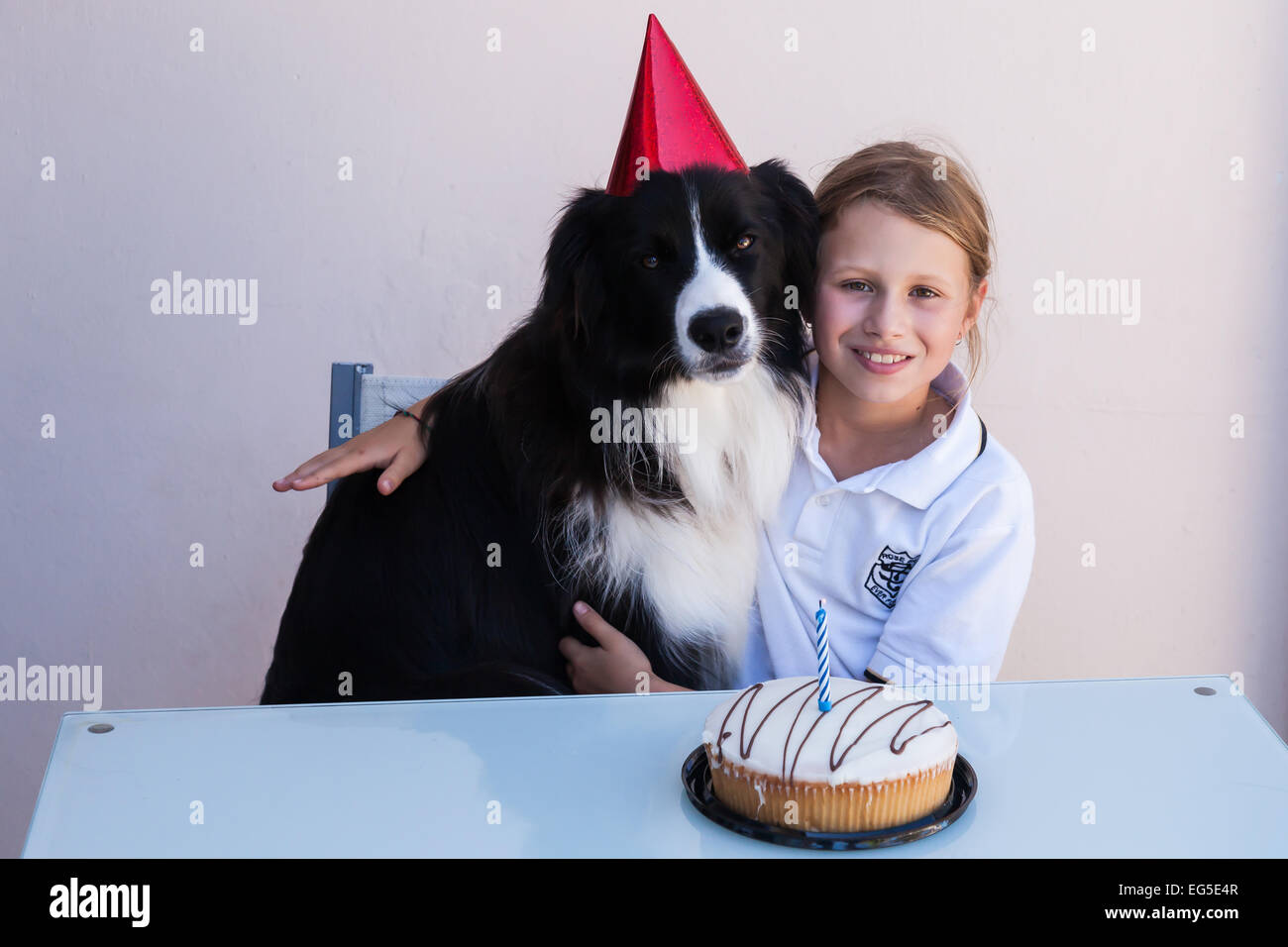 Ollie il Border Collie festeggia il suo primo compleanno con una ragazza giovane membro della sua nuova famiglia home. Foto Stock