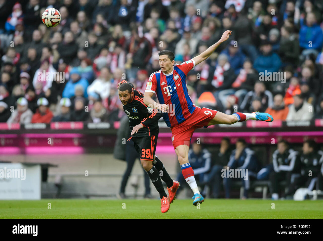 Monaco di Baviera, Germania. Xiv Feb, 2015. Il Bayern Monaco di Robert Lewandowski (r) e di Amburgo Ashton Goetz si contendono la palla durante la Bundesliga partita di calcio FC Bayern Munich vs Hamburger SV a Monaco di Baviera, Germania, il 14 febbraio 2015. Foto: Thomas Eisenhuth/dpa - nessun filo SERVICE -/dpa/Alamy Live News Foto Stock