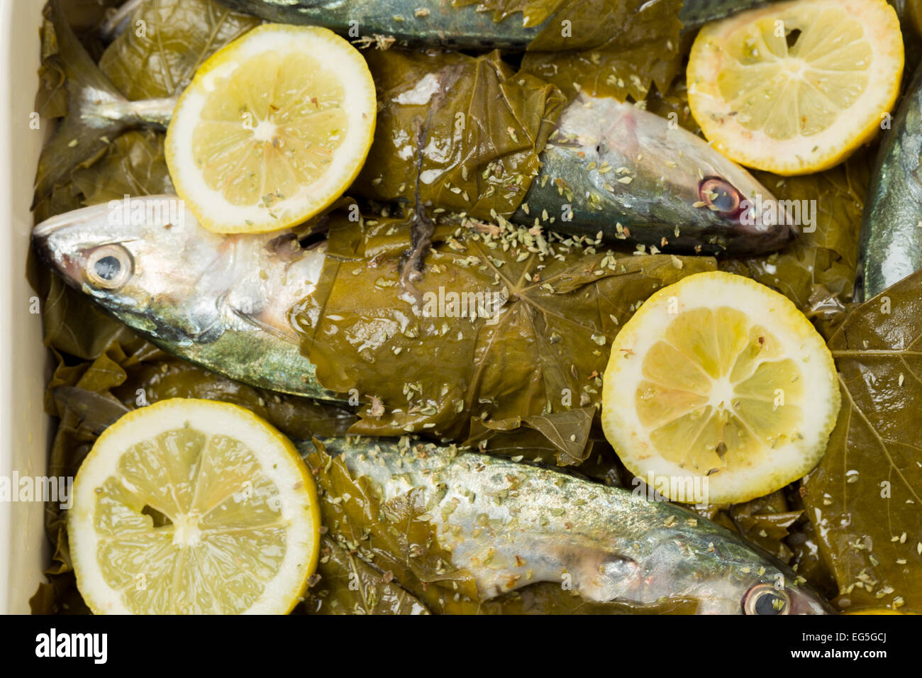 Sgombro pronto per la cottura in foglie di vite, con l'olio d'oliva, succo di limone e origano, un tradizionale piatto greco con piccoli sgombri o sar Foto Stock