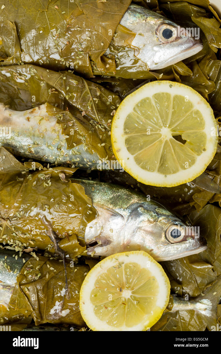 Sgombro pronto per la cottura in foglie di vite, con l'olio d'oliva, succo di limone e origano, un tradizionale piatto greco con piccoli sgombri o sar Foto Stock