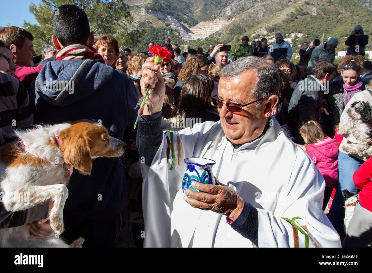 Benedizione degli animali pellegrinaggio San Anton Mijas Malaga Andalusia Spagna Foto Stock