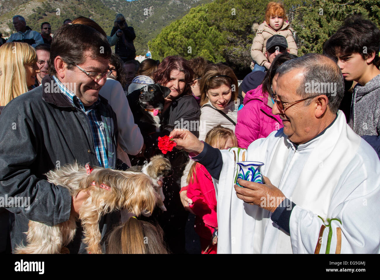 Benedizione degli animali pellegrinaggio San Anton Mijas Malaga Andalusia Spagna Foto Stock