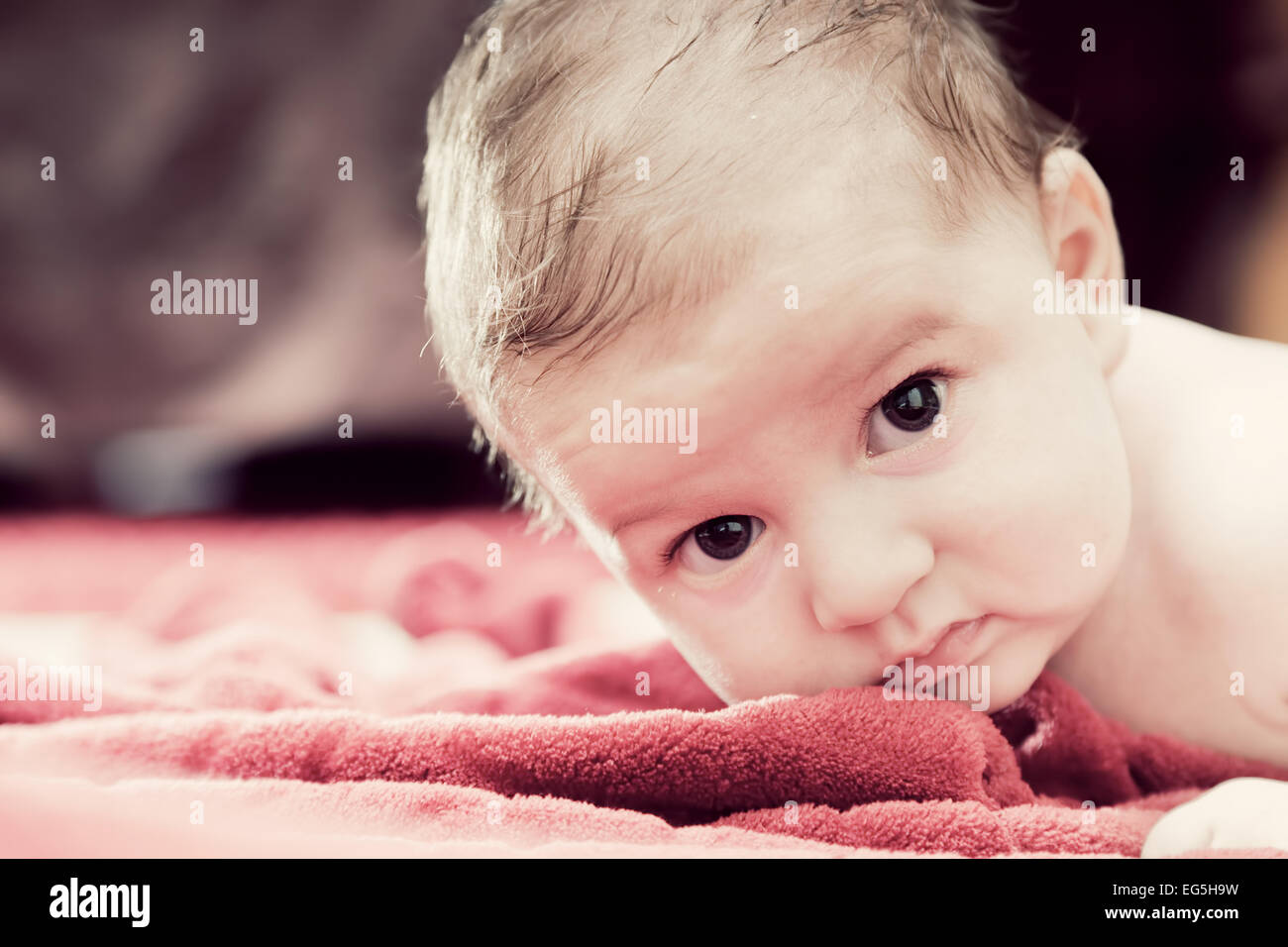 Carino 3 mesi bambino giacente sulla coperta di rosso e guardando la telecamera. Ritratto morbido Foto Stock