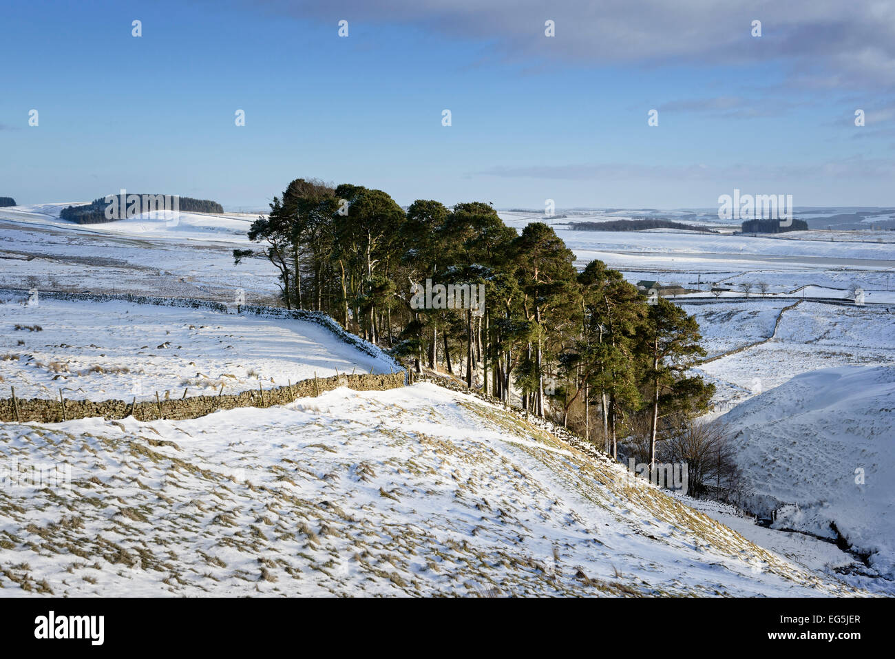 Inverno in Northumberland Foto Stock