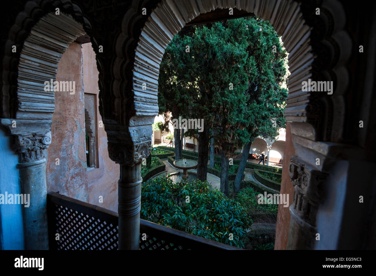 Giardini all'interno del Complesso Alhambra di Granada, Andalusia, Spagna. Foto Stock
