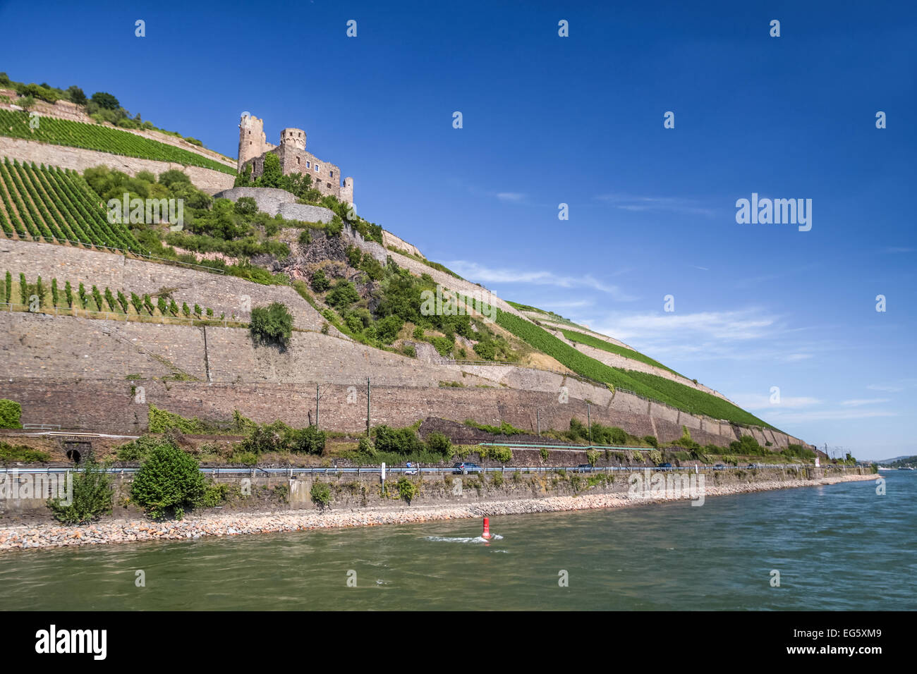 La rovina del castello di Ehrenfels vicino a Ruedesheim nel Rheingau, Hesse, Germania Foto Stock