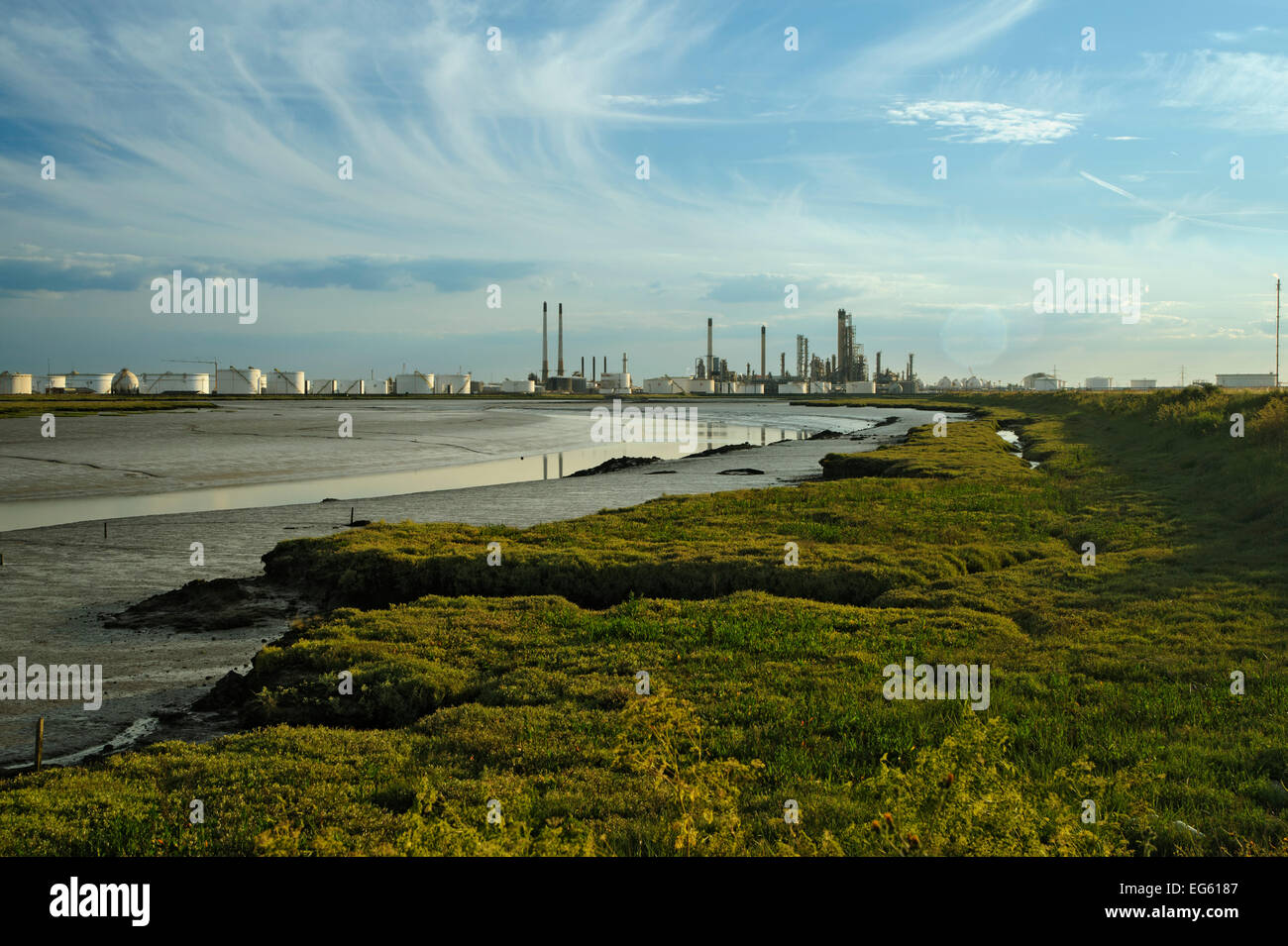 Bordo di saltmarsh con olio deposito in background, Canvey Island, Essex, Inghilterra, Regno Unito, Febbraio Foto Stock