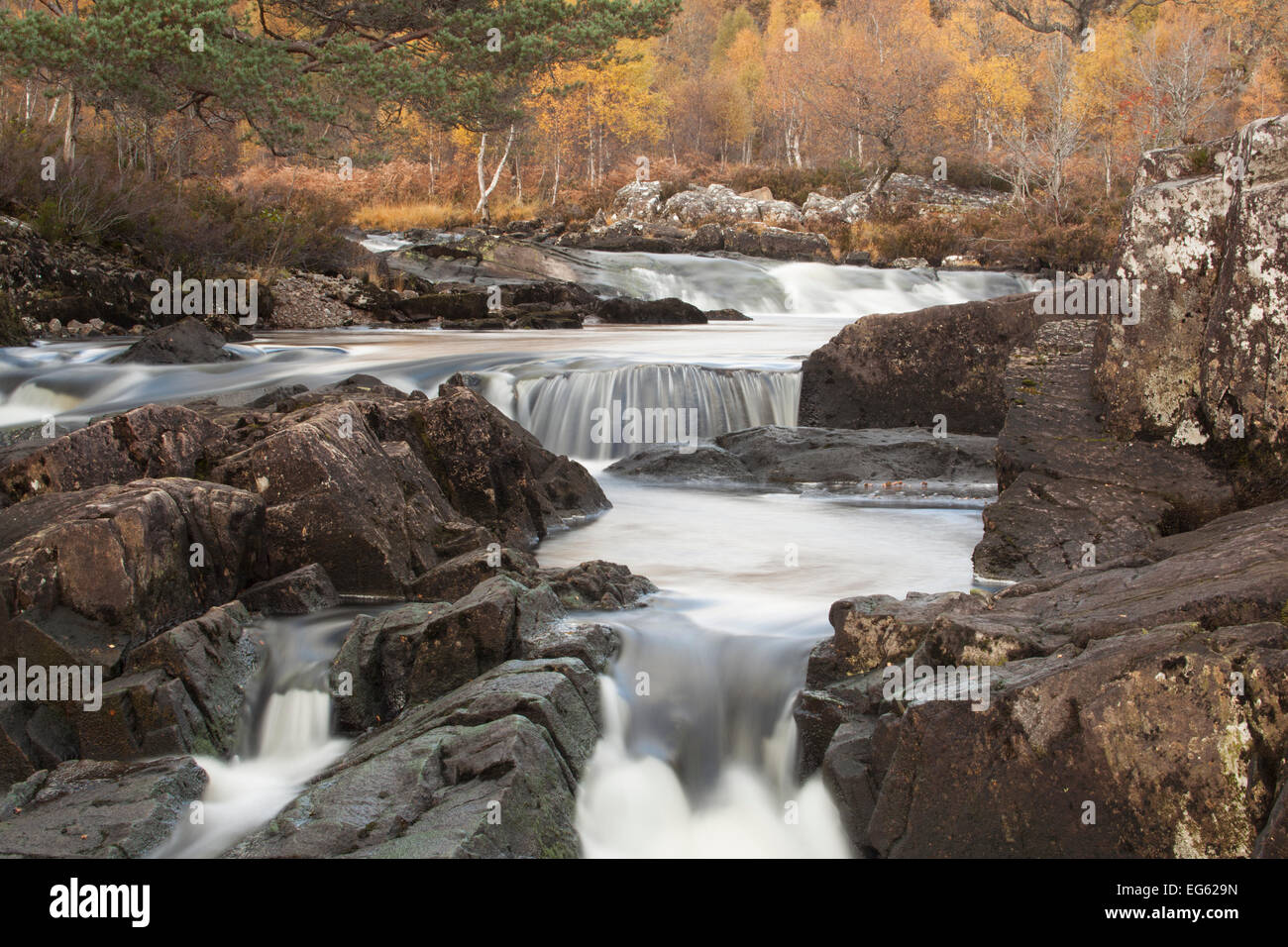 Affric sul fiume che scorre in una gola rocciosa, Glen Affric Riserva Naturale Nazionale, Scotland, Regno Unito, ottobre 2012. Foto Stock