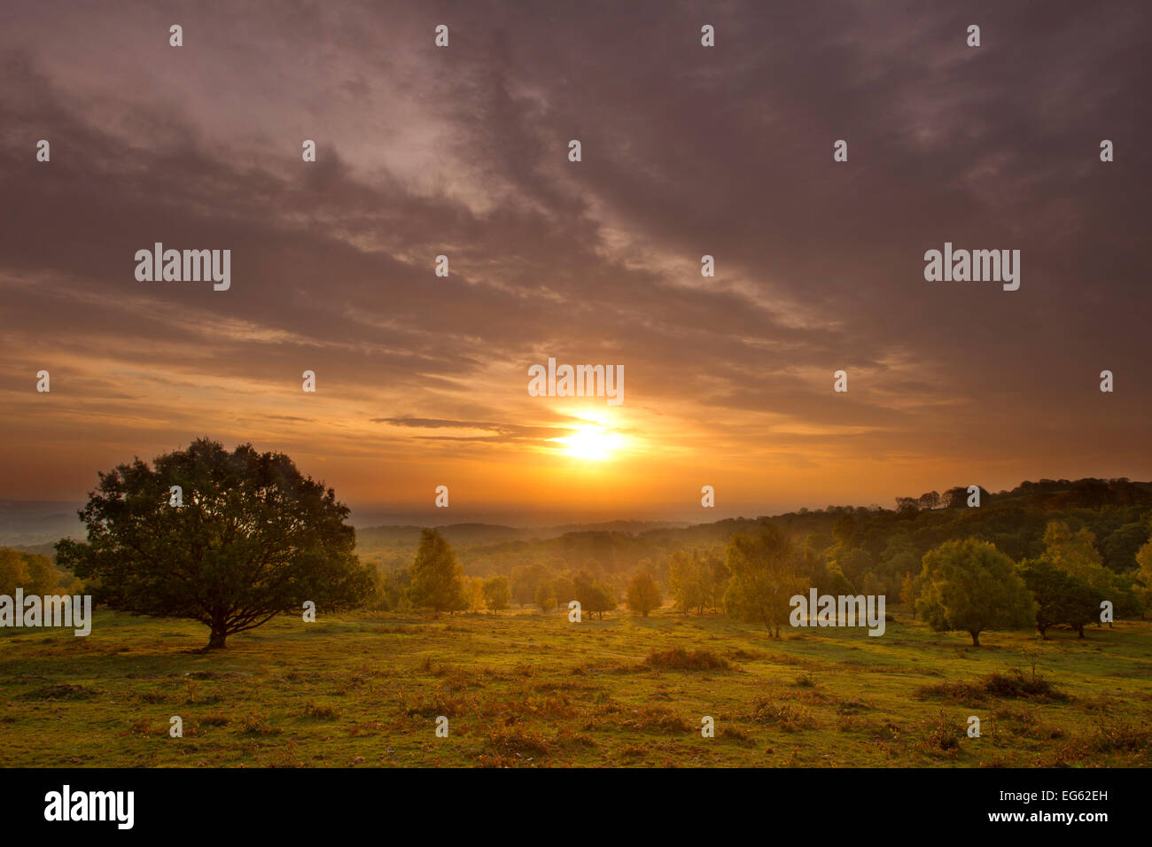 Il sorgere del sole sulla collina con alberi, Beacon Hill Country Park, la foresta nazionale, Leicestershire, Regno Unito, ottobre 2011 Foto Stock