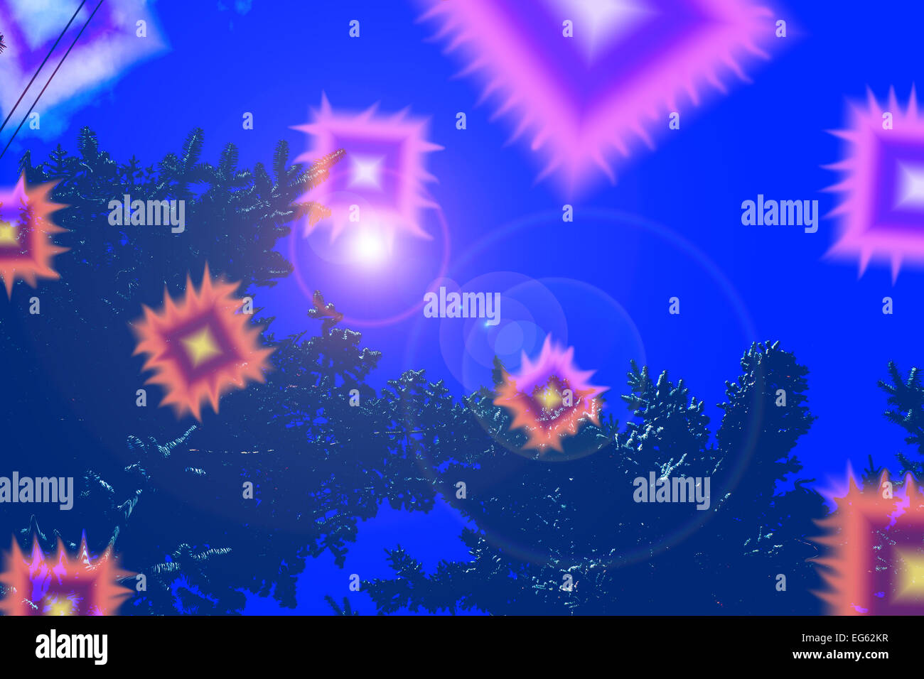 Abstract alberi;vista aerea;vedute aeree;d'uccello;vista panoramica;d'uccello viste;Birds Eye;Birds Eye view;Birds Eye viste; Foto Stock