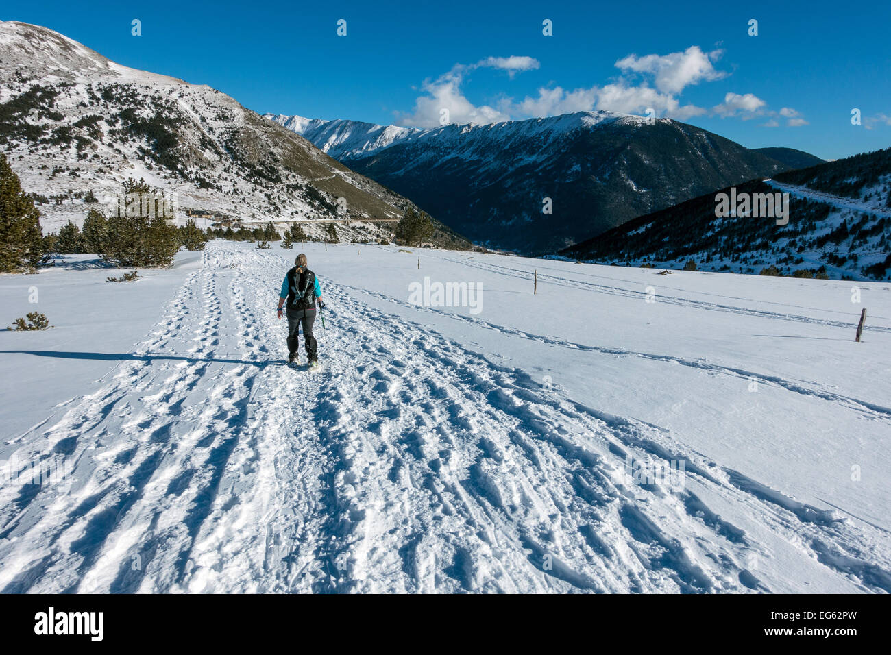 Escursioni con le racchette da neve femmina con molti sentieri, Col de Puymorens, Pirenei Foto Stock
