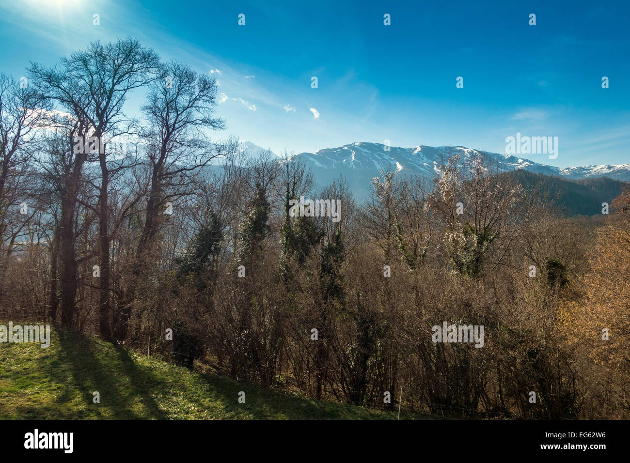 Snowy Pirenei visto sopra boschi con cielo blu, inverno alberi Foto Stock