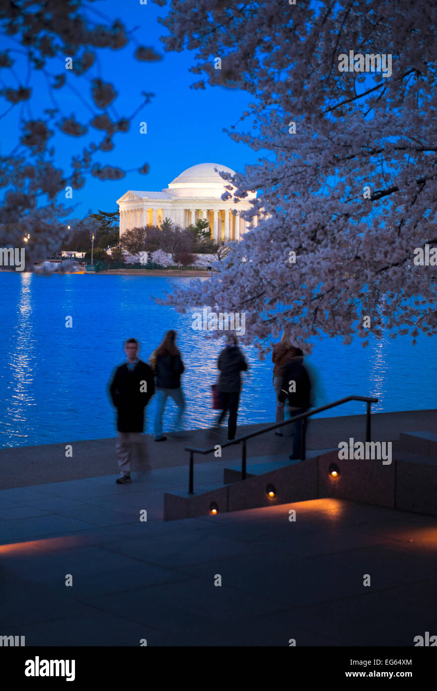 Il Jefferson Memorial sul Tidal Basin al crepuscolo con la gente e la fioritura dei ciliegi stagliano in primo piano. Foto Stock