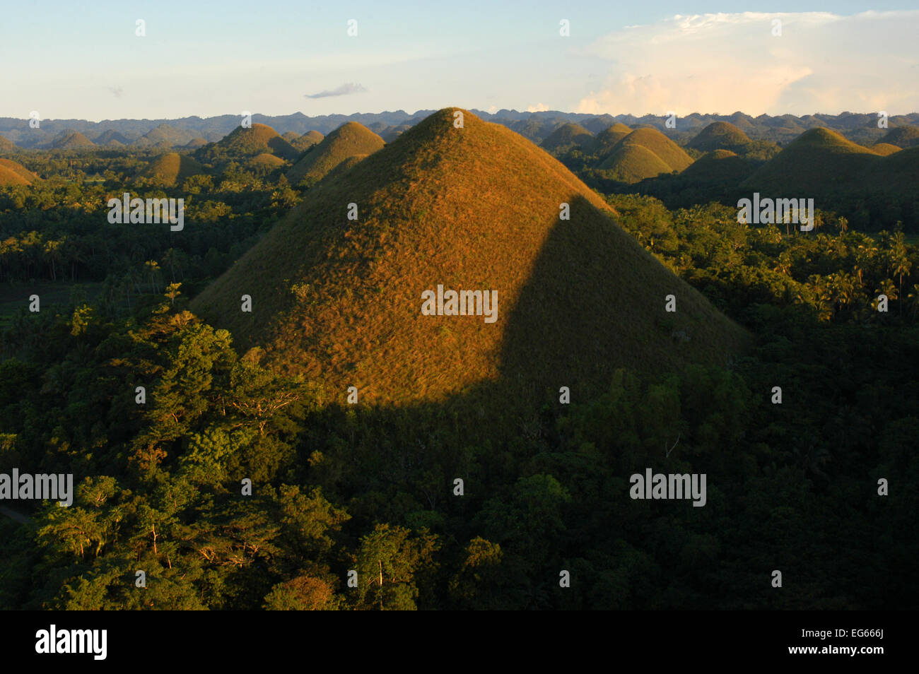 Montagne Colline di cioccolato. A Bohol. Il Visayas. Filippine. Le colline di cioccolato sono una formazione geologica in Provincia di Bohol, Ph Foto Stock