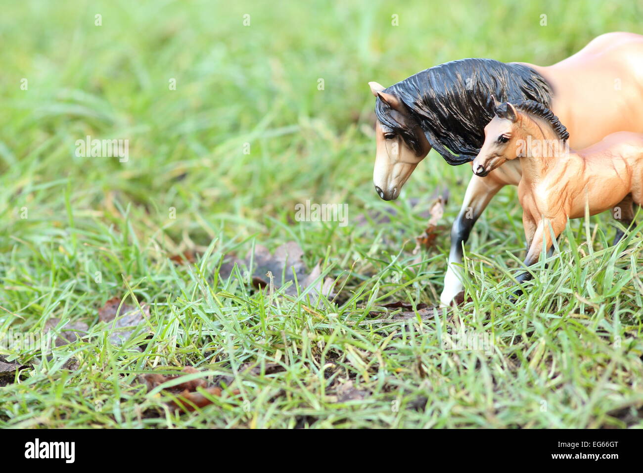 Un incorniciato e composto shot della madre e puledro come essi entrano nel telaio da destra. Still Life Fotografia Foto Stock