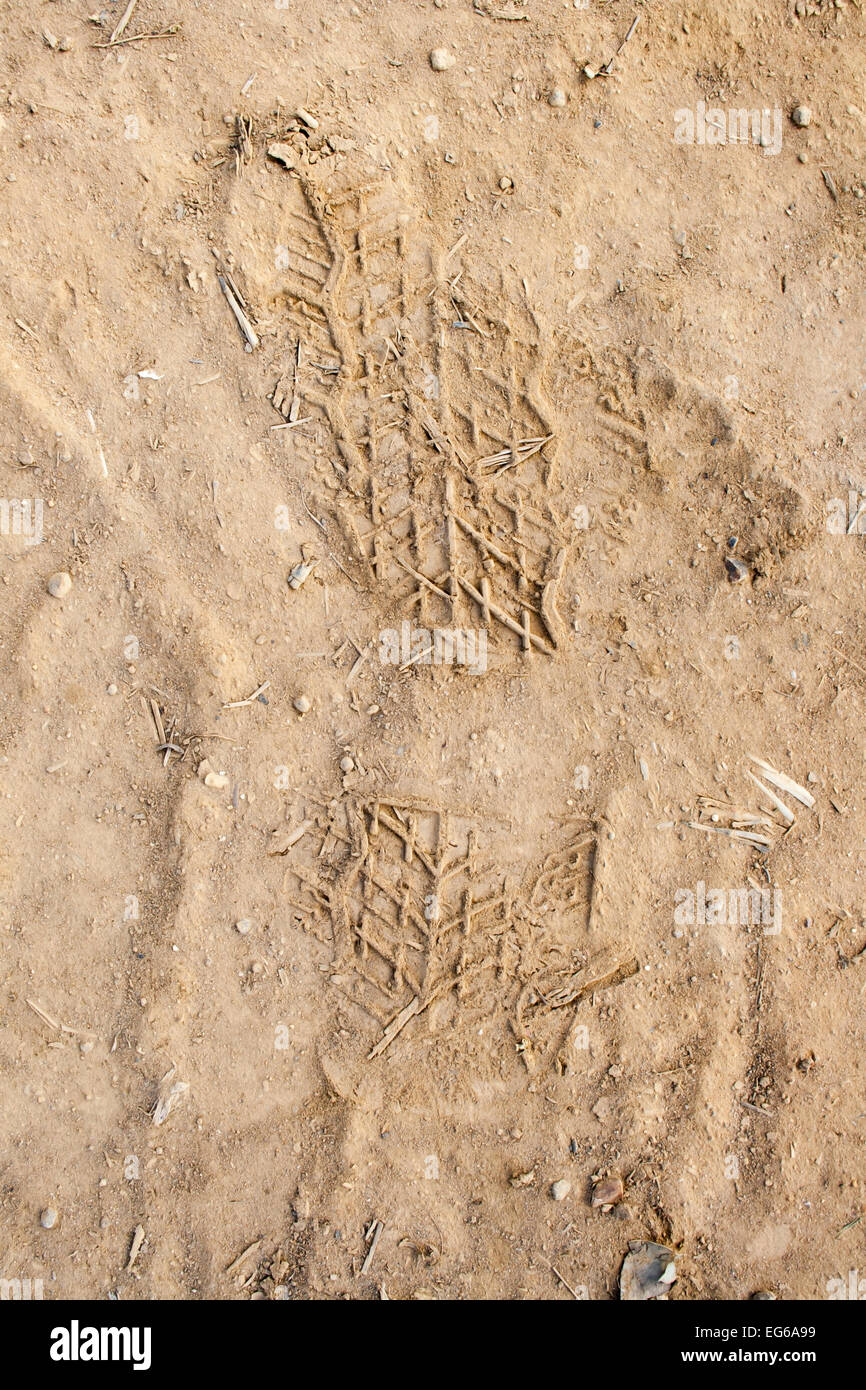 Tracce di pneumatici nella sabbia off road Foto Stock