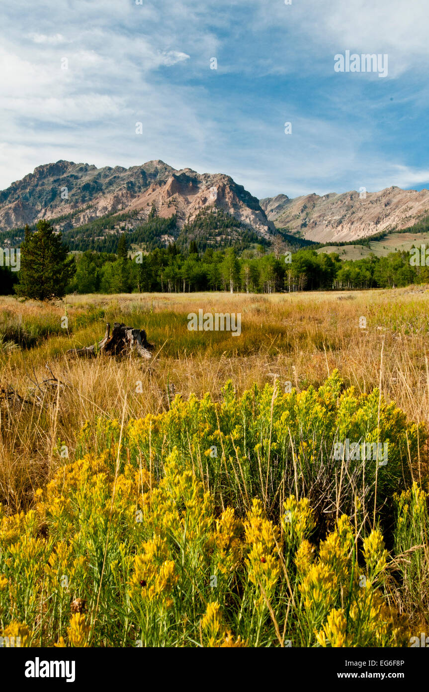 Boulder montagne dalla collina fantasma nel Sawtooth National Recreation Area (SNRA) in Idaho centromeridionale. Foto Stock