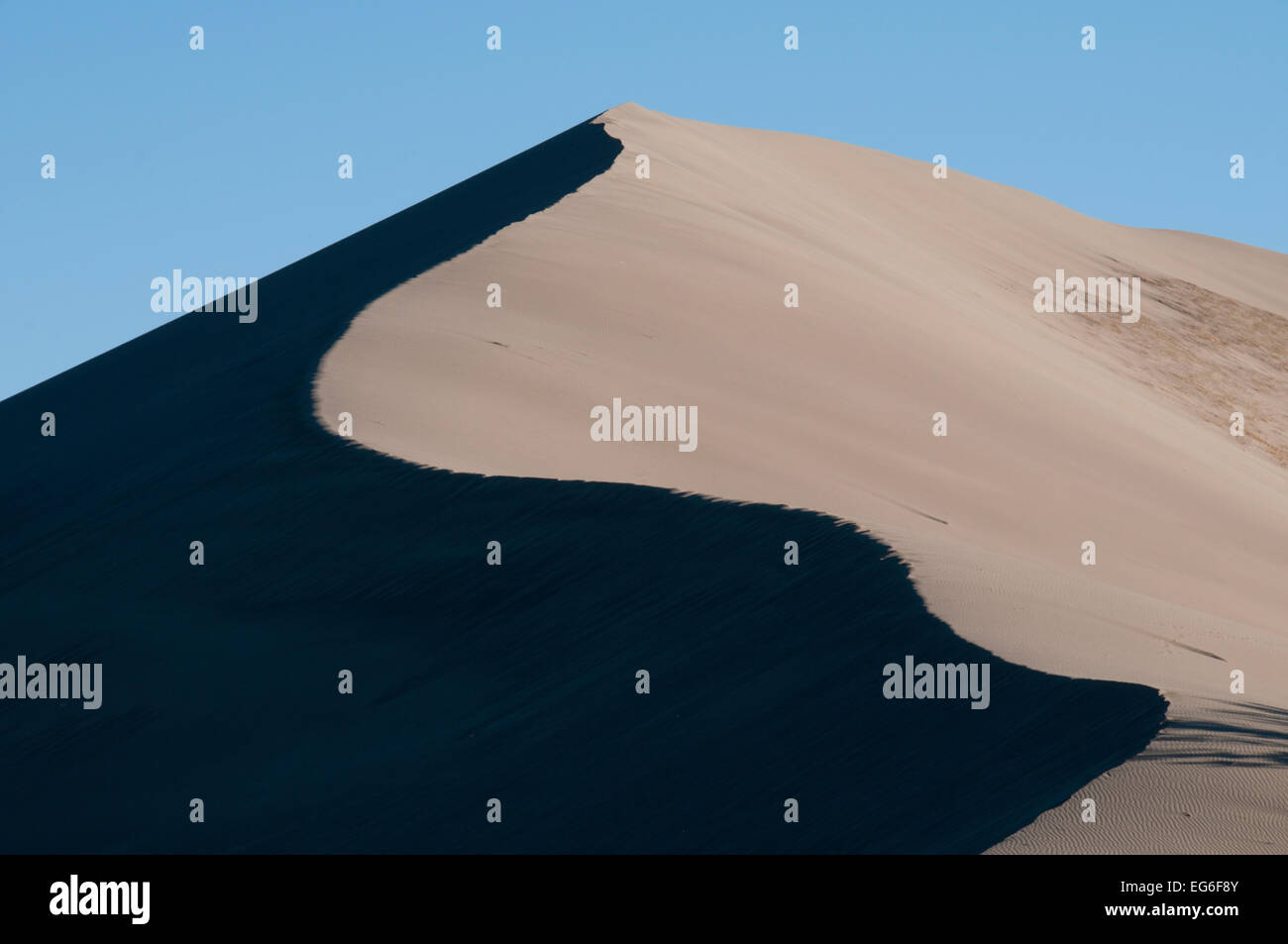 Grande duna di sabbia (470') elevata in Bruneau Dunes State Park, Idaho Foto Stock