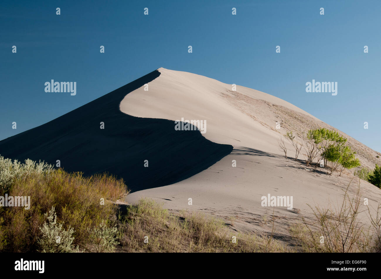 Grande duna di sabbia (470') elevata in Bruneau Dunes State Park, Idaho Foto Stock