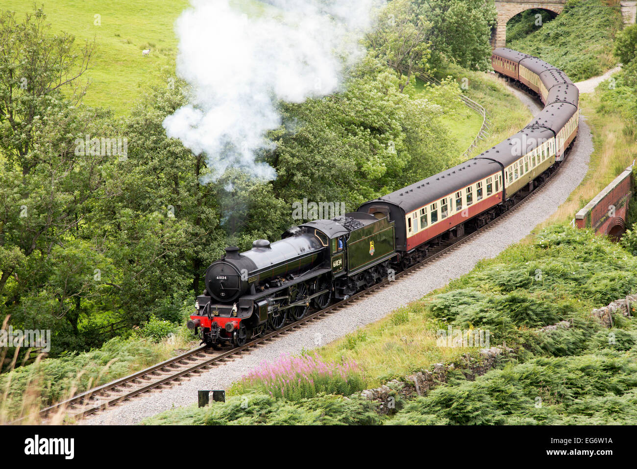 Un ceppo di vapore sulla North Yorkshire Moors linea ferroviaria a Darnholme in agosto. Foto Stock