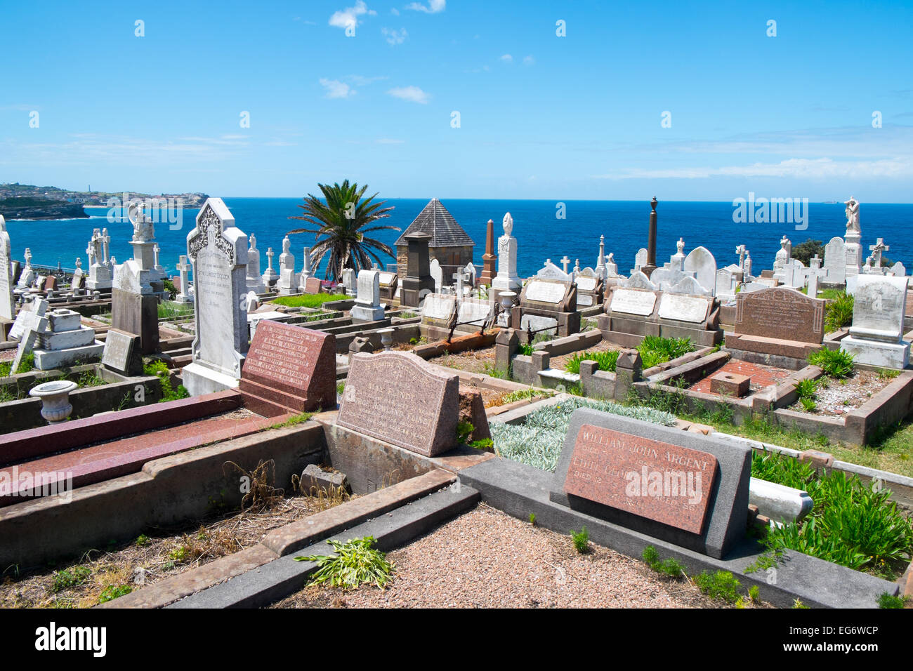 Cimitero di Waverley su le cime della scogliera a Bronte, sobborghi Orientali di Sydney, Australia Foto Stock