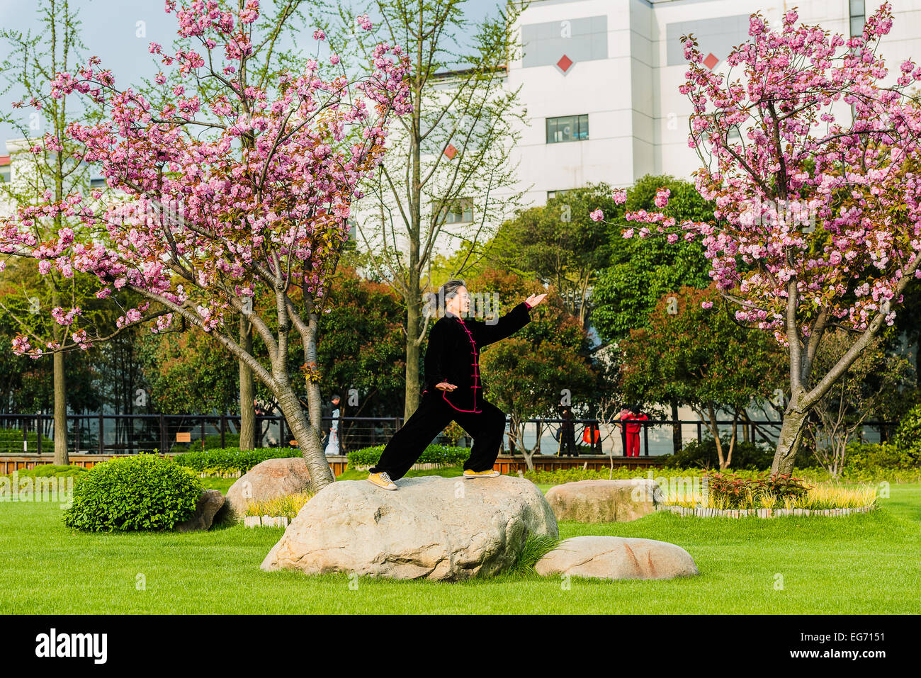 Shanghai, Cina - 7 Aprile 2013: una vecchia donna esercizio tai chi con il tradizionale costume in gucheng park della città di Shanghai in Cina il 7 aprile 2013 Foto Stock