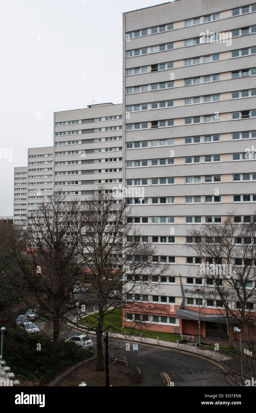 Quattro blocchi a torre nel centro della città di Birmingham Foto Stock